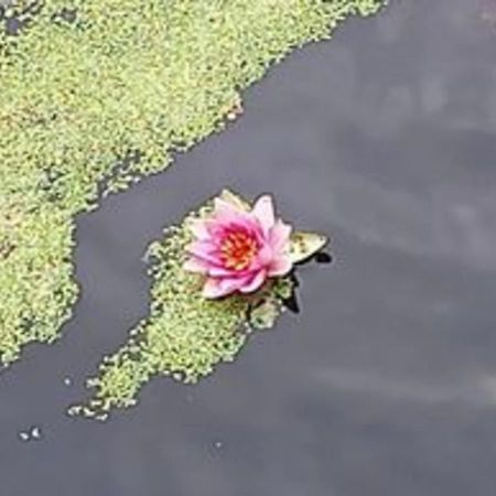 Holm Hemmekhof公寓 外观 照片
