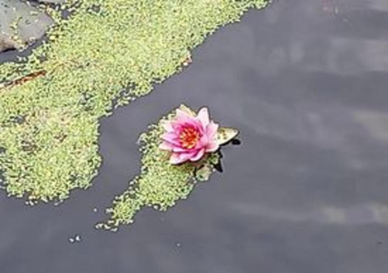 Holm Hemmekhof公寓 外观 照片